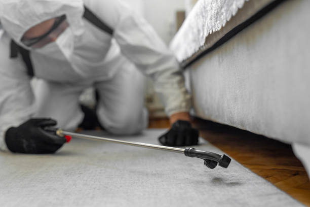 Professional Pest Control technician working in Arvin, CA
