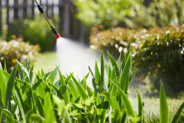 24/7 Emergency Pest Control experts in Arvin, CA
